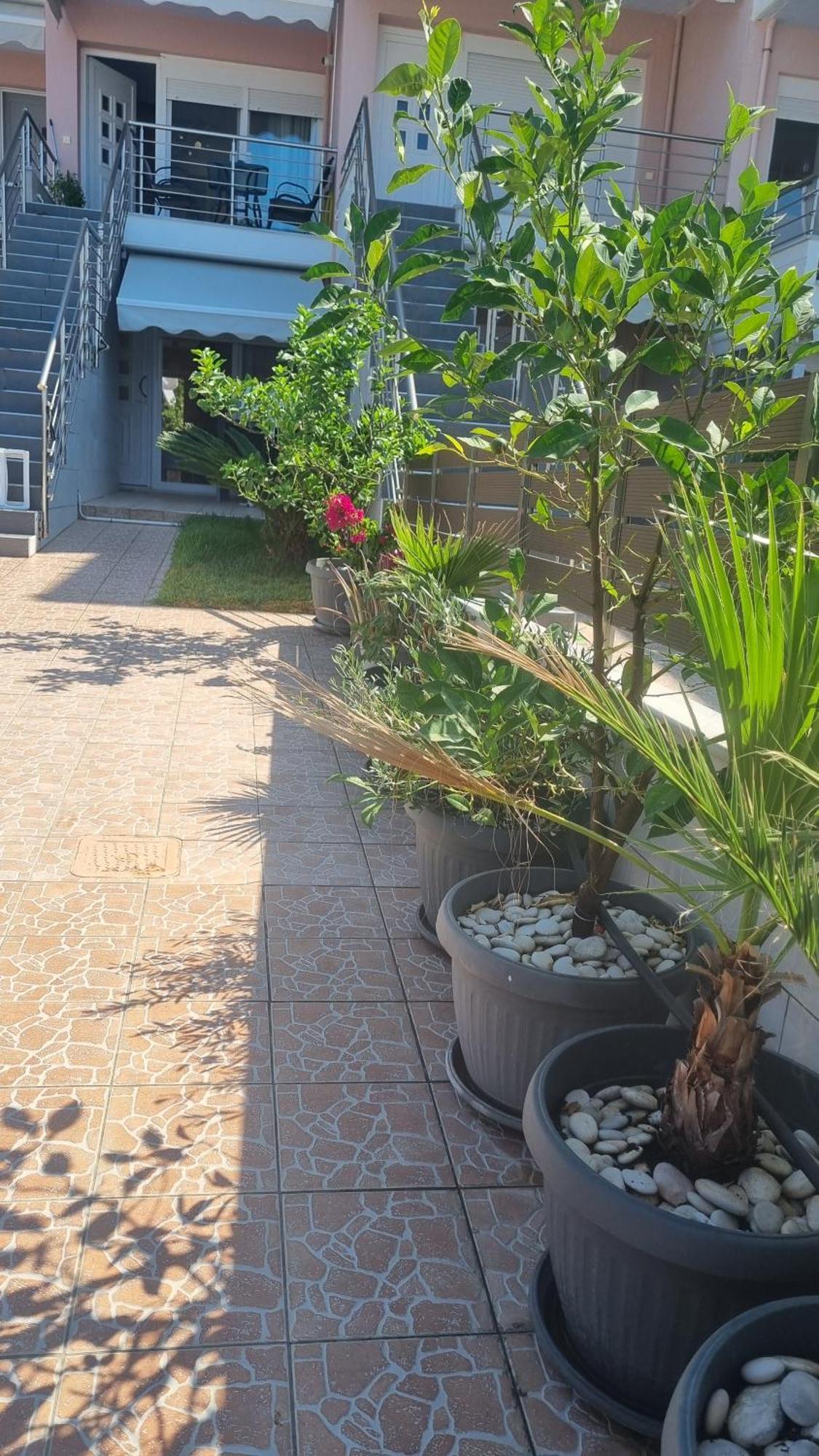 Ionian Dream Home Vráchos Dış mekan fotoğraf